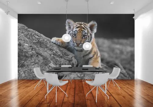Digital Wallpaper